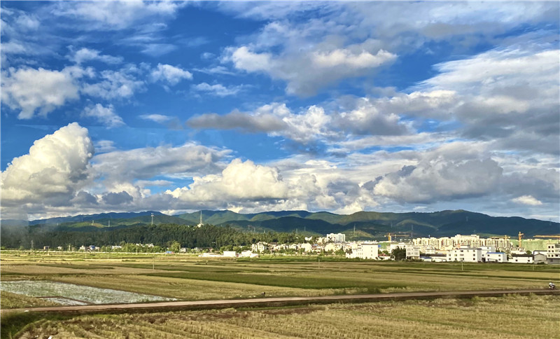 斑斕、七彩橋、草原、余輝(圖1)